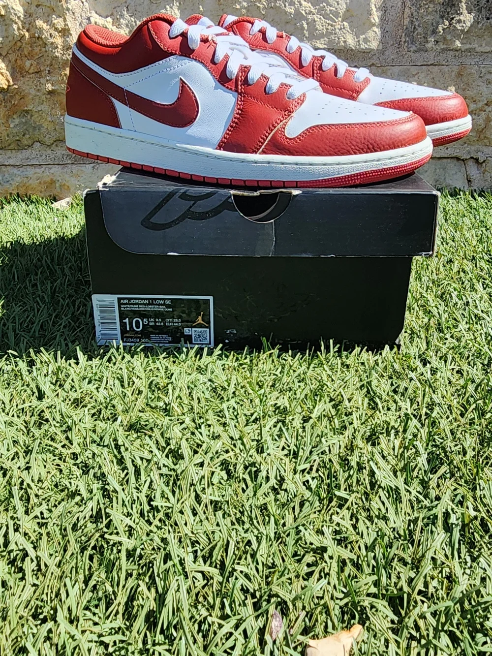 Jordan low top